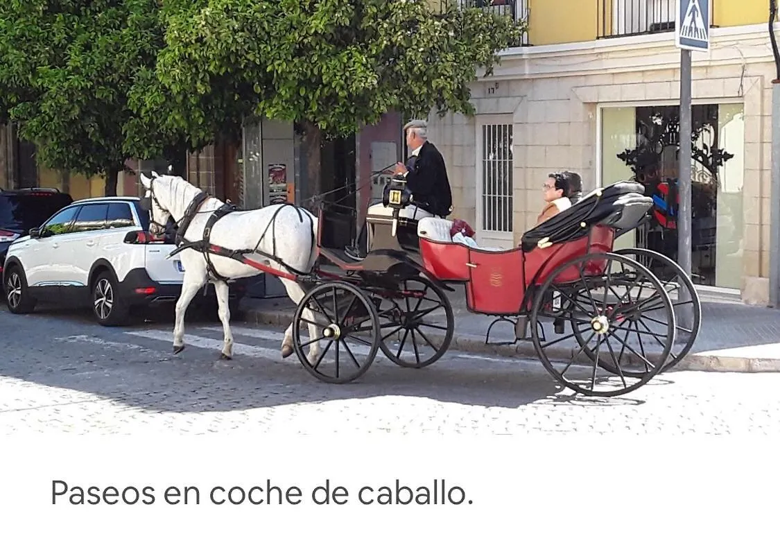 Apartamento Centro Ciudad ヘレス